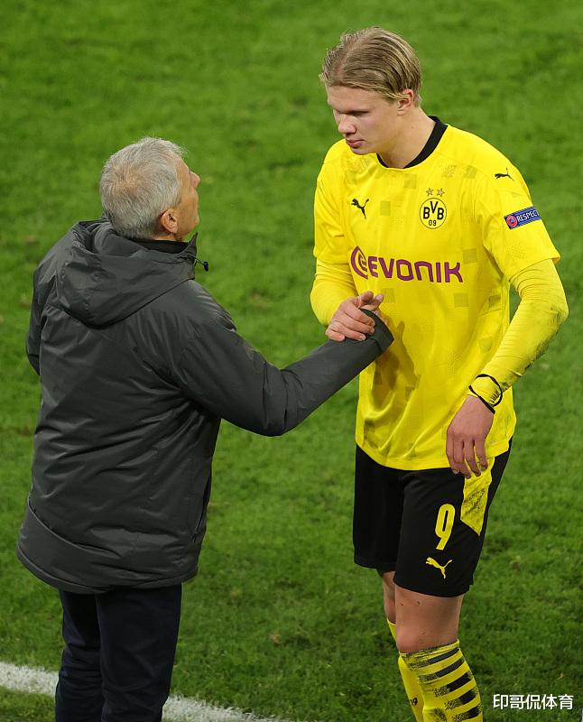 伦敦奥运马术冠军两匹传奇坐骑同日安乐死 伴随骑手共创20年辉煌岁月