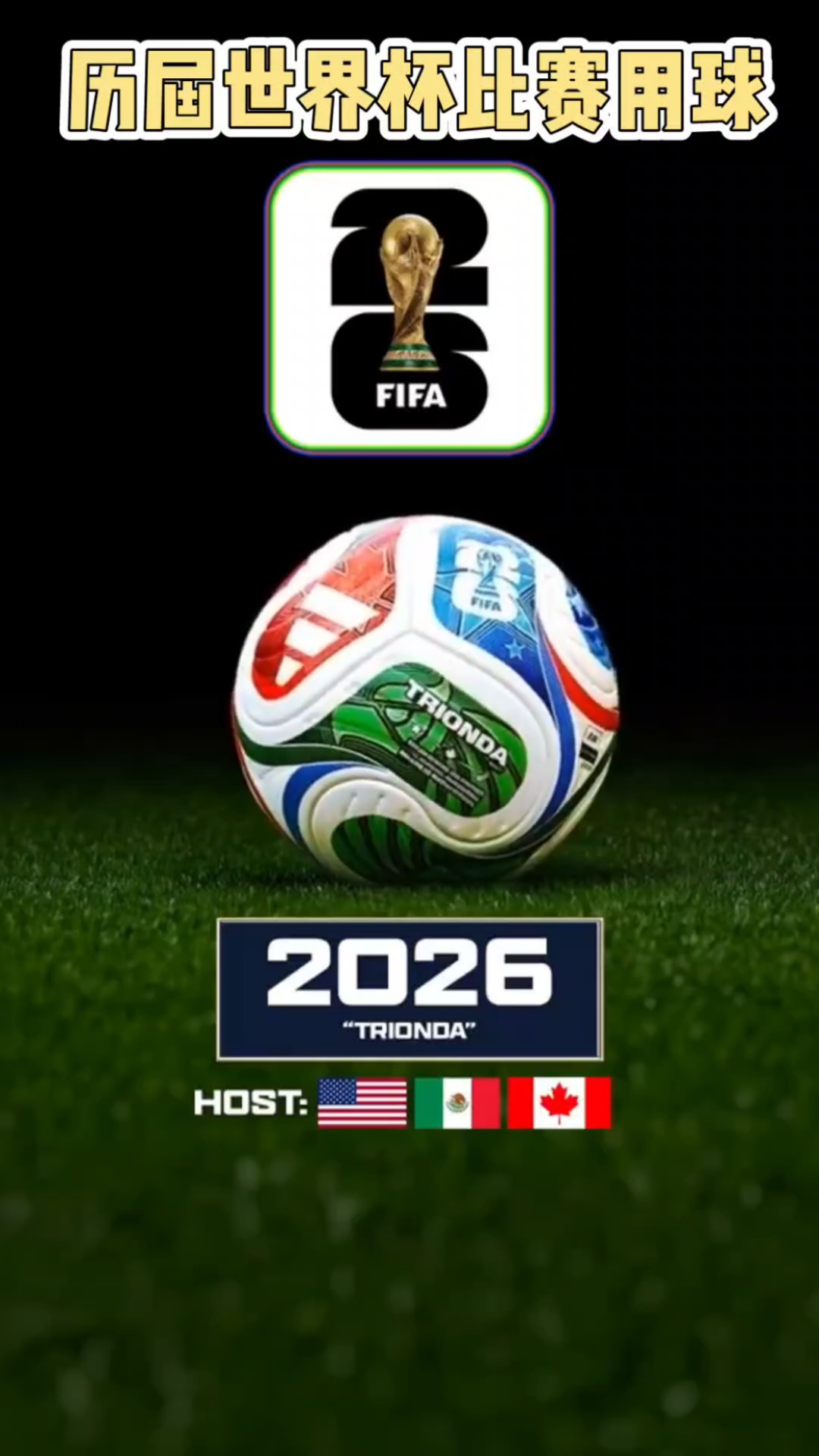 挪威在世界杯能走多远？哈兰德：让我们拭目以待